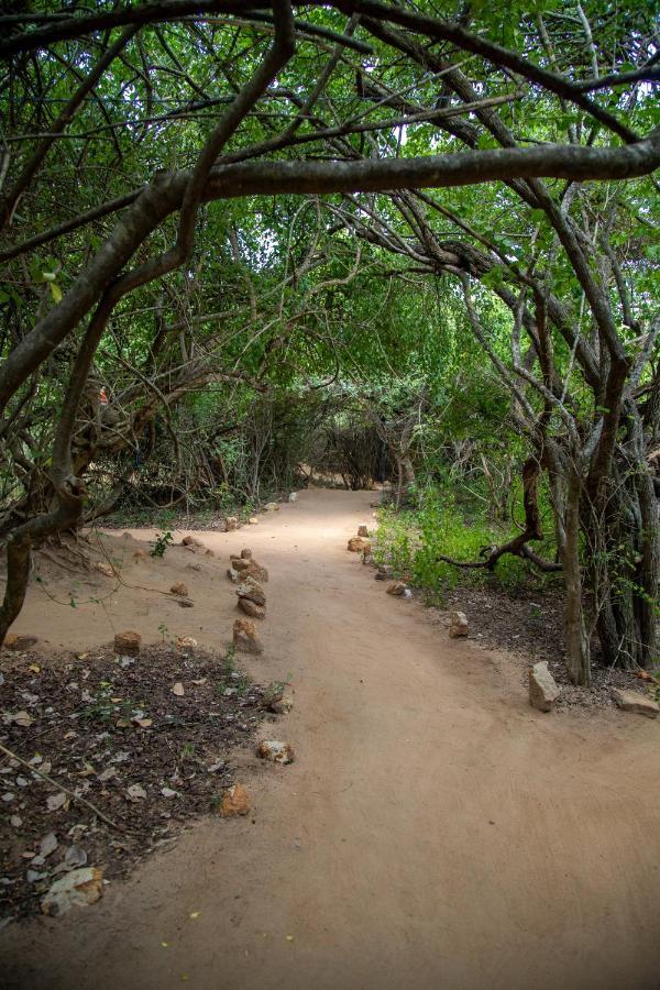Hotel Yala Eco Bush Camp Exterior foto