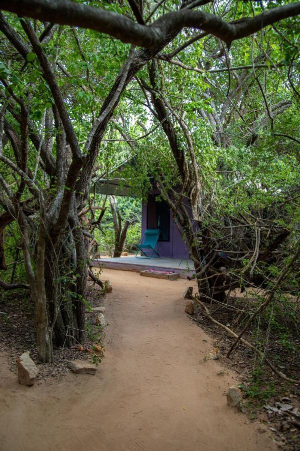 Hotel Yala Eco Bush Camp Exterior foto