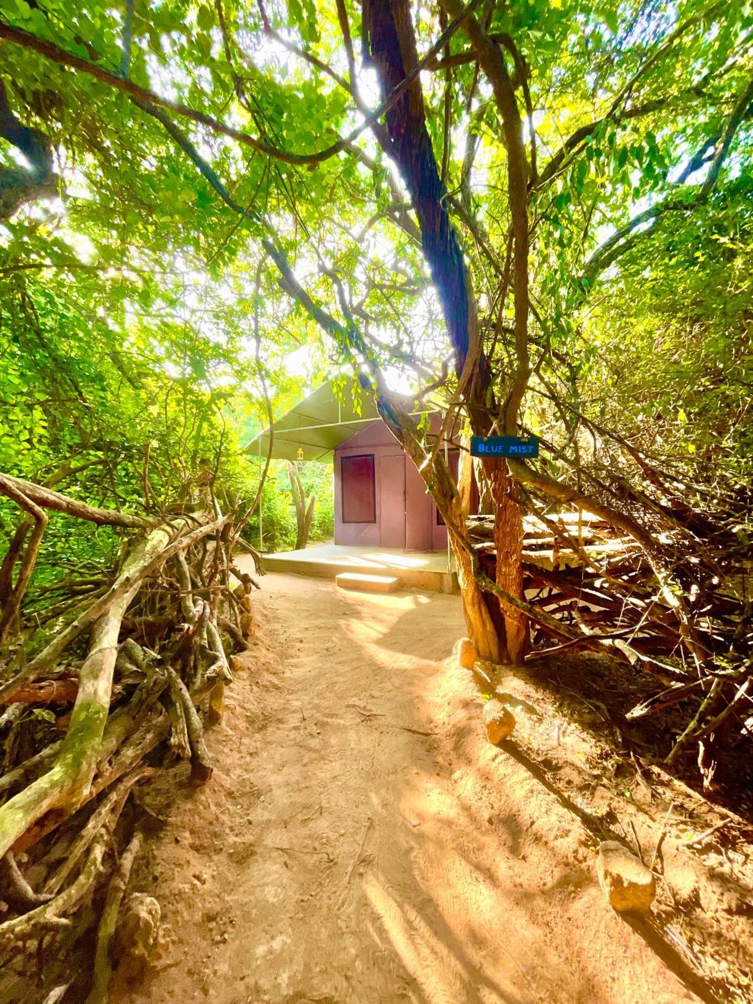 Hotel Yala Eco Bush Camp Exterior foto