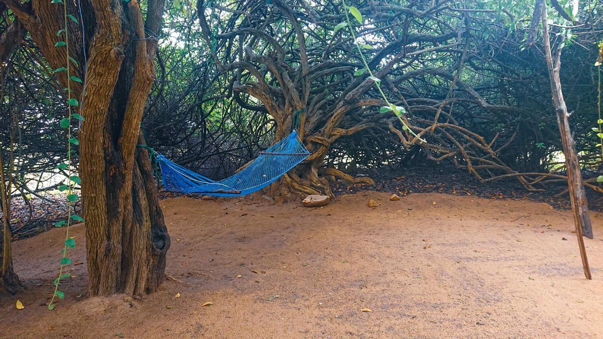 Hotel Yala Eco Bush Camp Exterior foto